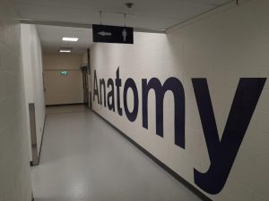 Faculty of Medicine Vinyl Letters