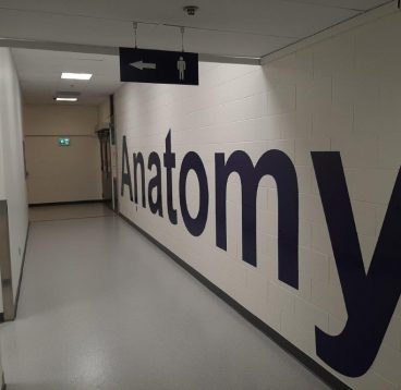 Faculty of Medicine vinyl letters